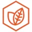Kilo Biotechnology logo