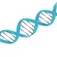 Paradigm Peptides logo