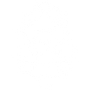 Southern Aminos logo