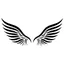 Valkyrie Peptides logo